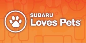 Subaru Loves Pets Artwork