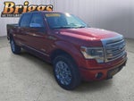 2013 Ford F-150 Platinum