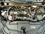 2025 Toyota Prius XLE