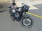 2019 KAWASAKI W800 Base