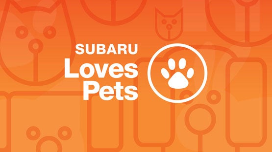 Briggs Subaru of Topeka in Topeka KS