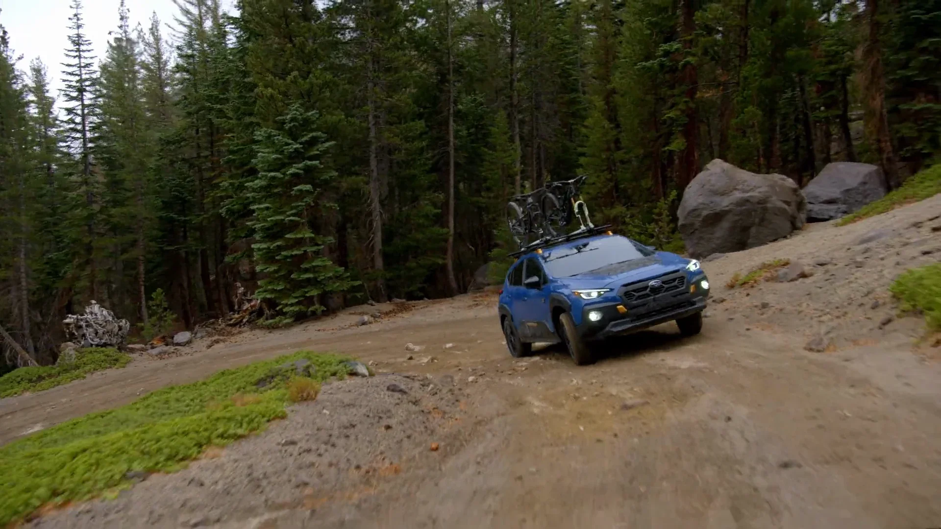 A blue Subaru Crosstrek Wilderness on a forest track.