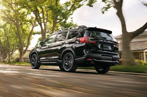 Black 2026 Subaru Ascent on a tree-lined suburban street