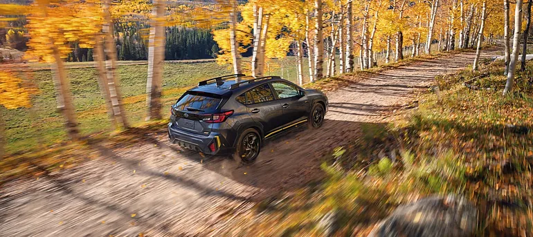 Blue 2026 Subaru Crosstrek on a leaf-covered trail lined with golden birches