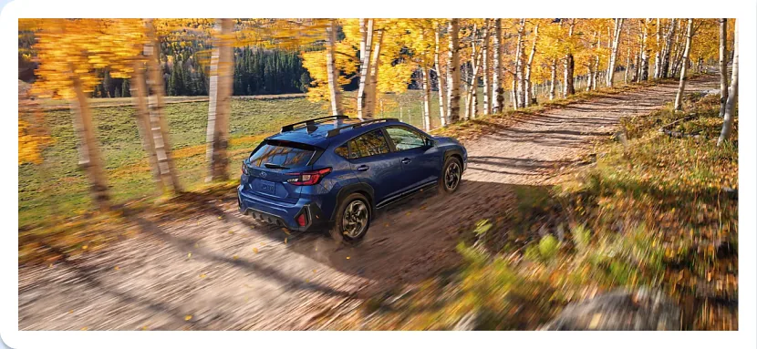 Blue Subaru Crosstrek on a leafy trail lined with golden birches