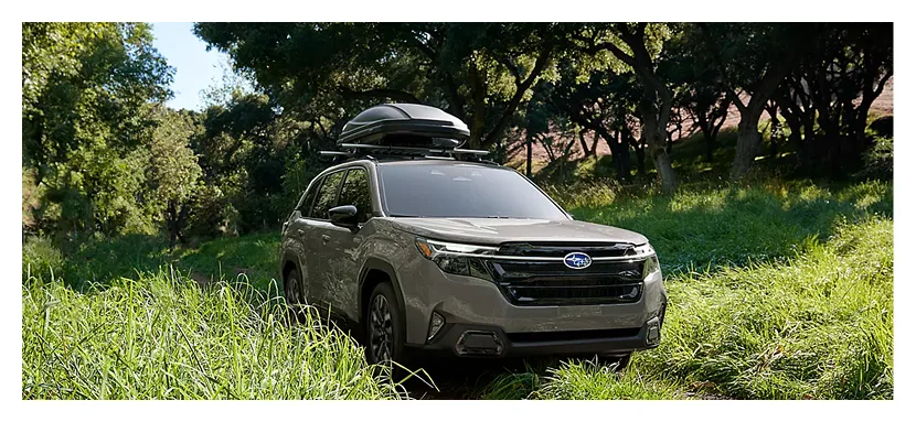 2026 Subaru Forester with a roof box parked on a grassy hillside