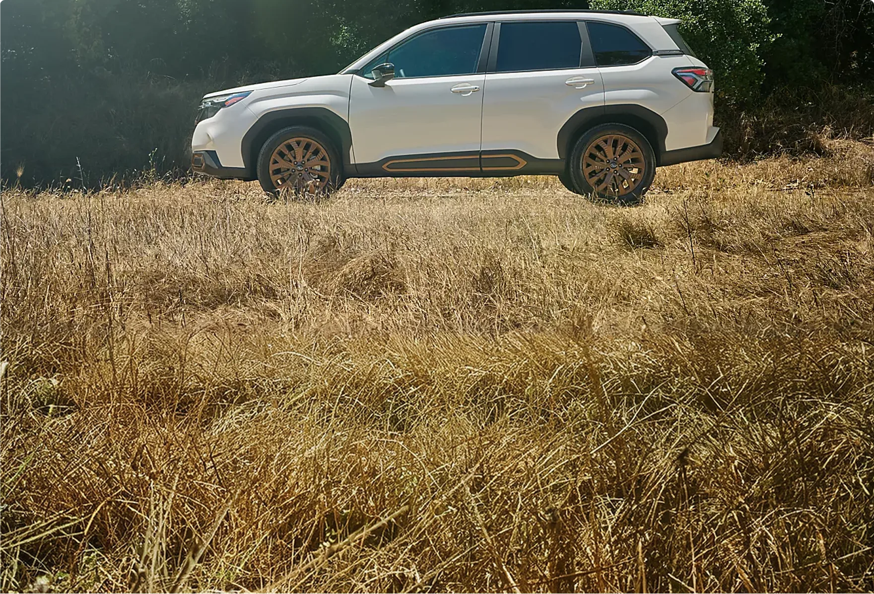 White 2026 Subaru Forester parked in a golden field