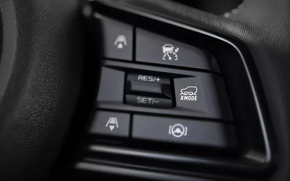 Steering wheel mounted control switches