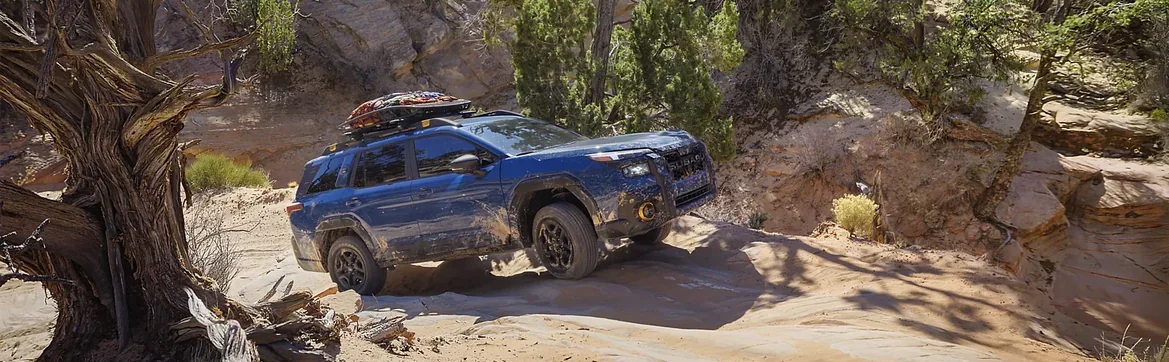 Outback Wilderness crawling over slickrock