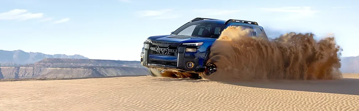 Outback Wilderness kicking up sand on a dune
