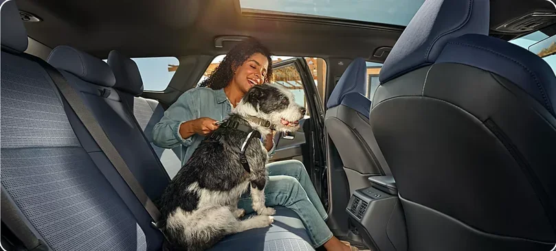 Passenger and dog riding in the second row of a 2026 Subaru Trailseeker